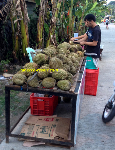 durian shop.jpg