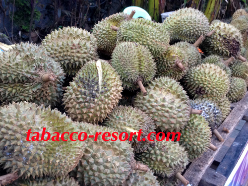 durians.jpg