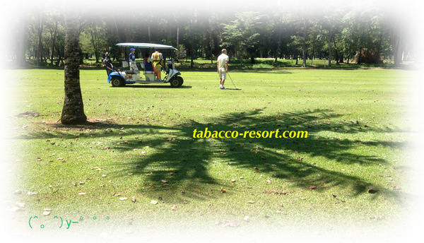 tabacco resort golf3.jpg